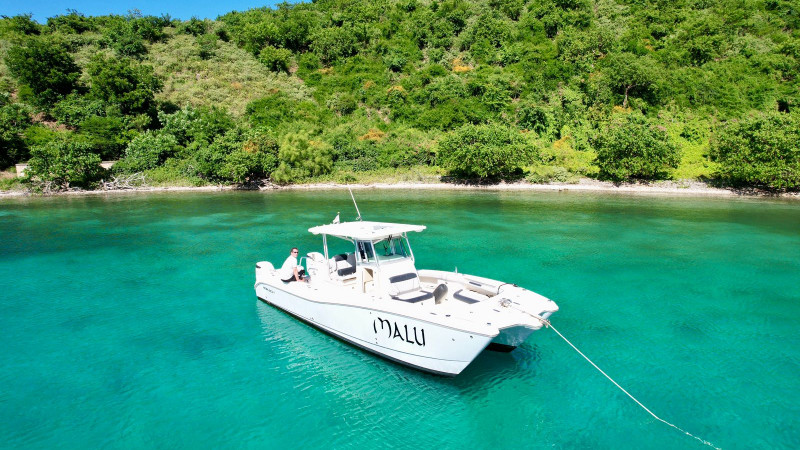 aa4596af-3513-49fb-9c7b-2636338eab71